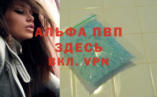эйфоретик Вязники